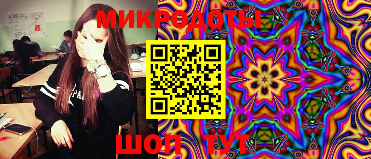 Псилоцибиновые грибы Psilocybe Назарово