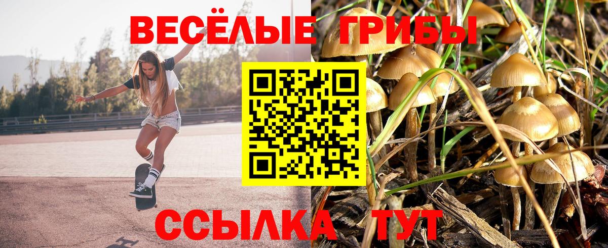 Назарово  Галлюциногенные грибы мицелий  Вход с VPN  Галлюциногенные грибы Psilocybe 